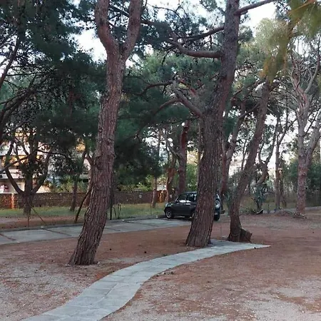 Bay Apartman